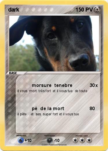 Pokemon dark