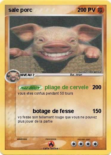 Pokemon sale porc