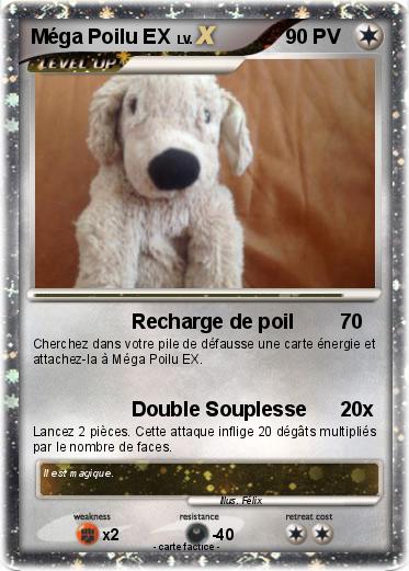 Pokemon Méga Poilu EX