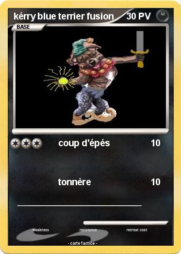 Pokemon kérry blue terrier fusion