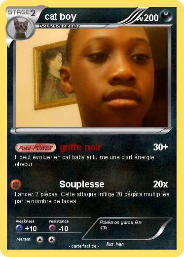 Pokemon cat boy