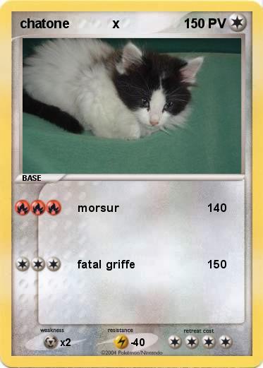 Pokemon chatone            x