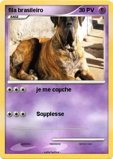 Pokemon fila brasileiro