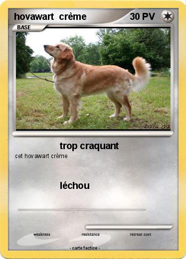 Pokemon hovawart  crème