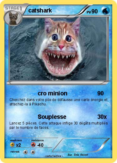 Pokemon catshark
