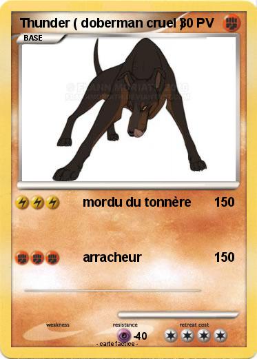 Pokemon Thunder ( doberman cruel )