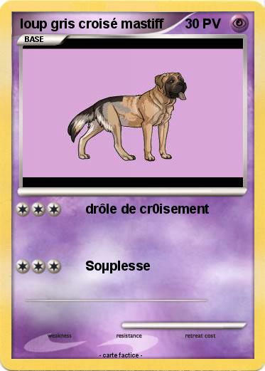 Pokemon loup gris croisé mastiff