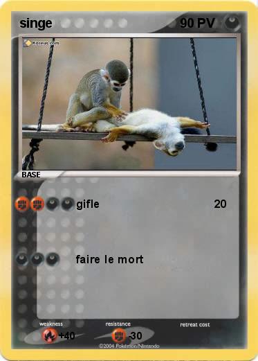 Pokemon singe