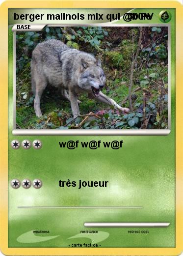 Pokemon berger malinois mix qui @b0ie