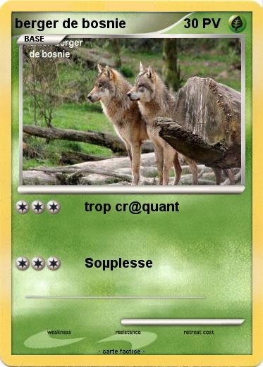 Pokemon berger de bosnie