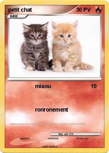 Pokemon petit chat