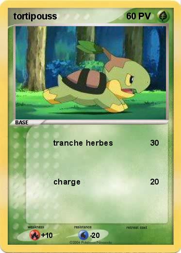 Pokemon tortipouss