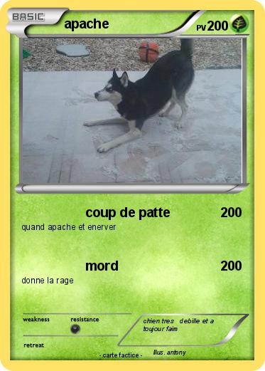 Pokemon apache