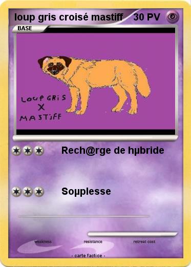 Pokemon loup gris croisé mastiff