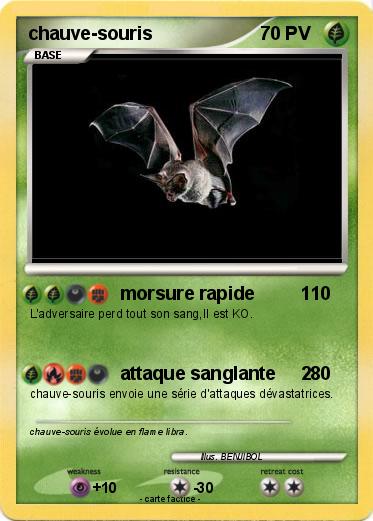Pokemon chauve-souris