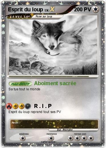 Pokemon Esprit du loup