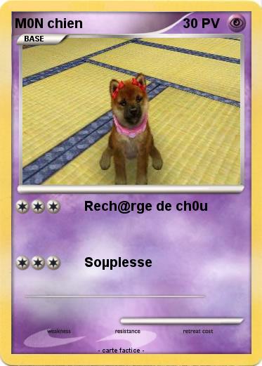 Pokemon M0N chien