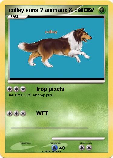Pokemon colley sims 2 animaux & cie DS