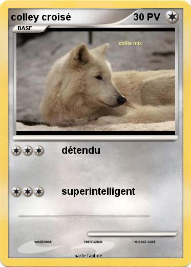 Pokemon colley croisé