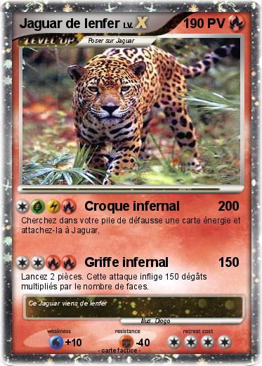 Pokemon Jaguar de lenfer