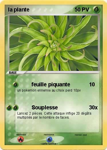 Pokemon la plante