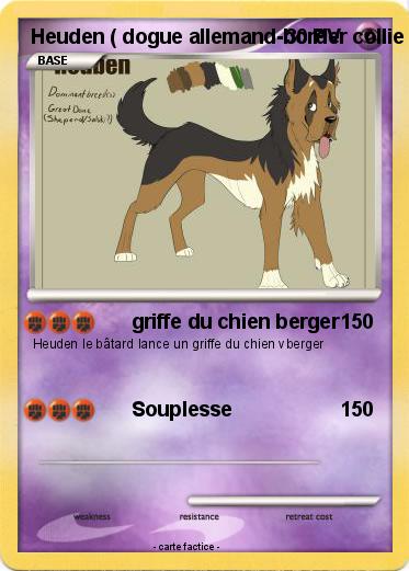 Pokemon Heuden ( dogue allemand-border collie mixte )