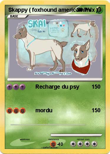 Pokemon Skappy ( foxhound americain mix )