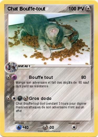 Pokemon Chat Bouffe-tout