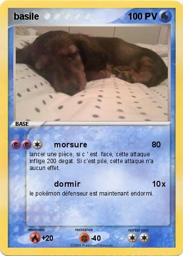 Pokemon basile