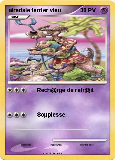 Pokemon airedale terrier vieu