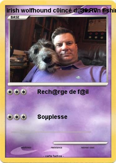 Pokemon irish wolfhound c0incé d@ns t0n t-shirt