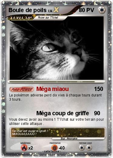 Pokemon Boule de poils