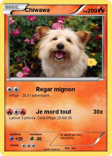 Pokemon Chiwawa