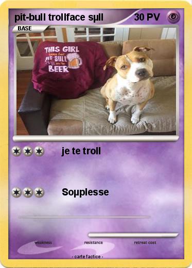 Pokemon pit-bull trollface sµll