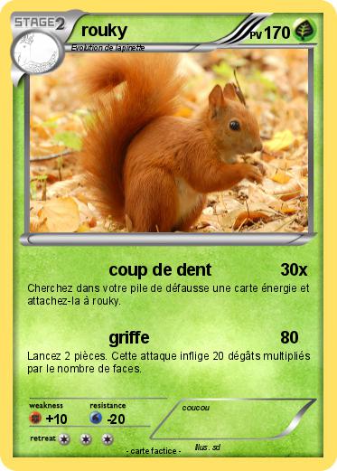 Pokemon rouky