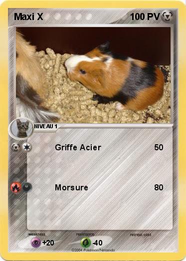 Pokemon Maxi X