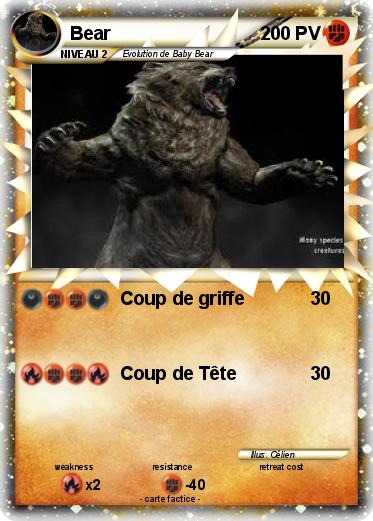 Pokemon Bear