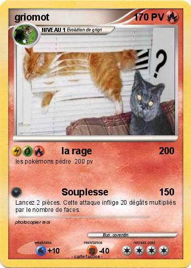 Pokemon griomot