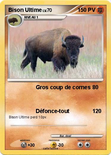 Pokemon Bison Ultime