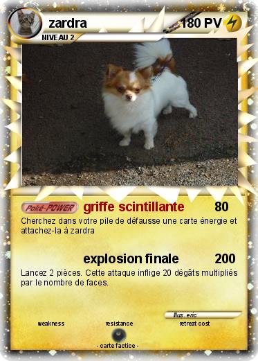 Pokemon zardra