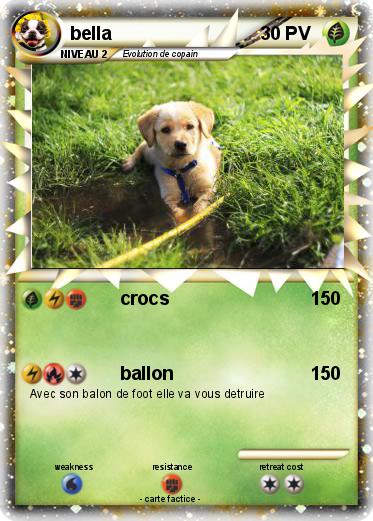 Pokemon bella