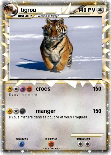 Pokemon tigrou