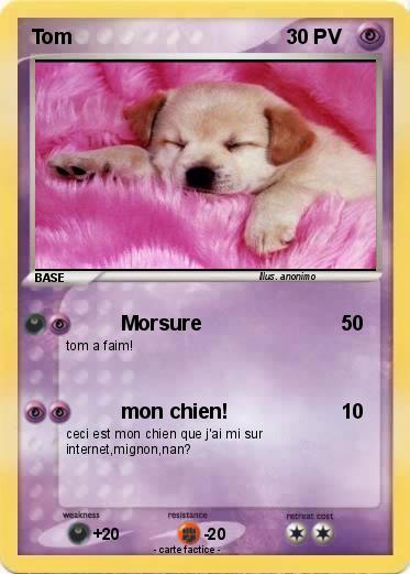 Pokemon Tom
