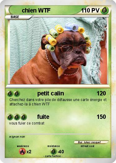 Pokemon chien WTF