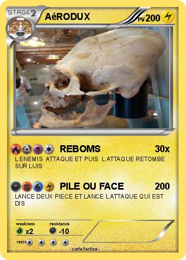Pokemon AéRODUX