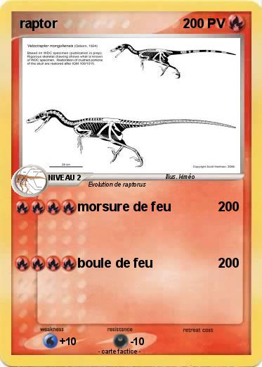 Pokemon raptor