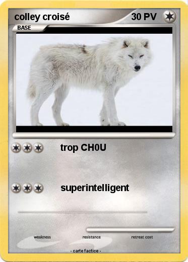 Pokemon colley croisé