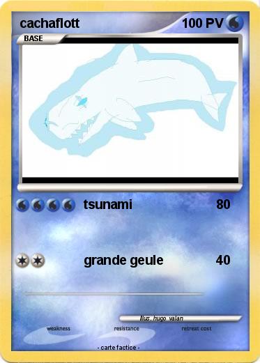 Pokemon cachaflott