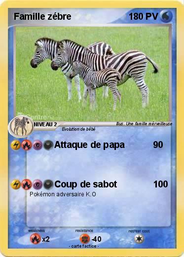 Pokemon Famille zébre