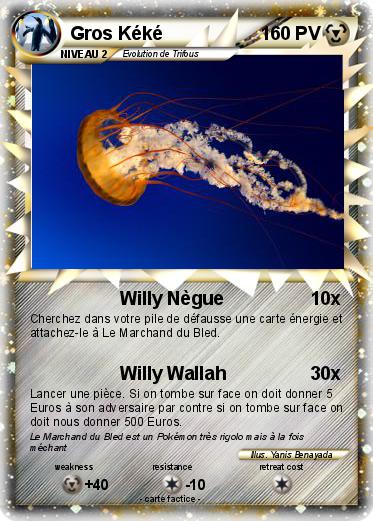 Pokemon Gros Kéké